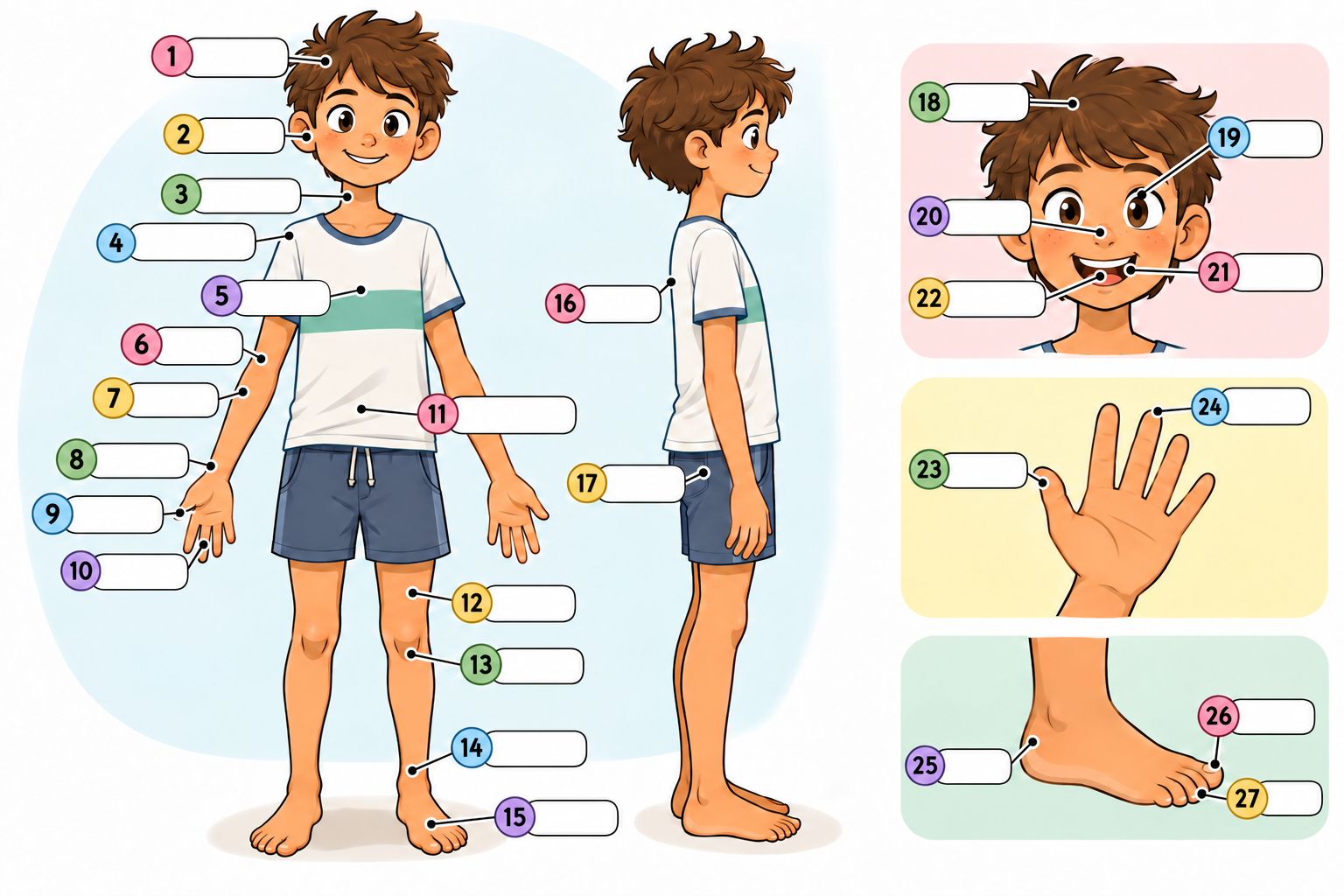 Boy shown from the front and side, with detailed views of his face, hand and foot and 27 numbered blank labels